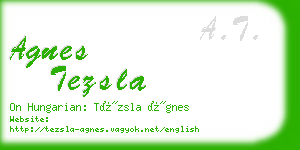 agnes tezsla business card